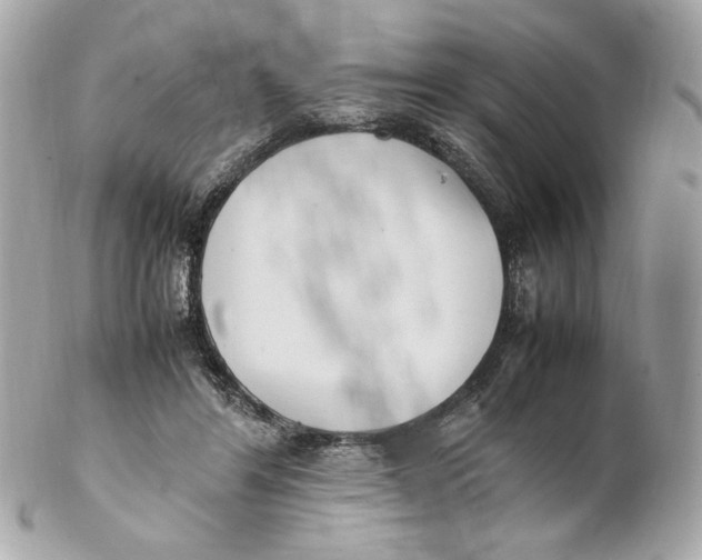 X0000102250404200808151822