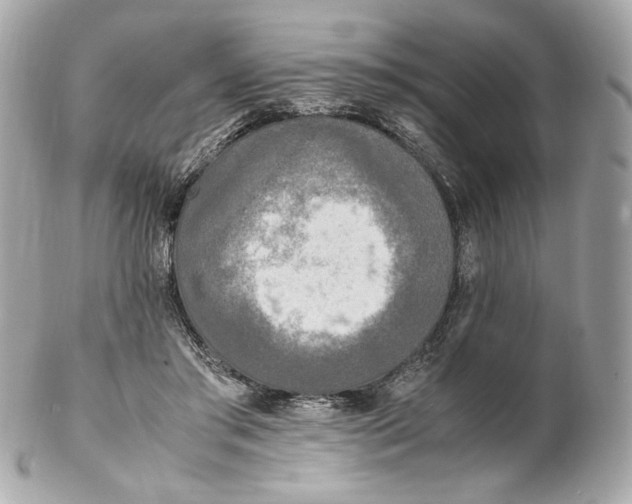 X0000102250405200808151822