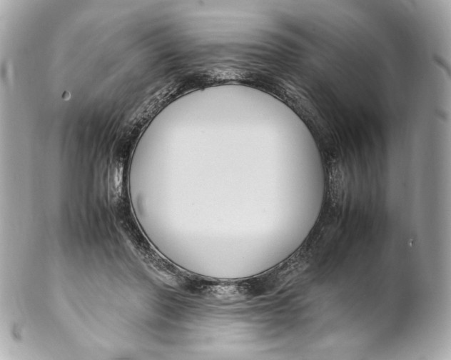 X0000102250406200808151822