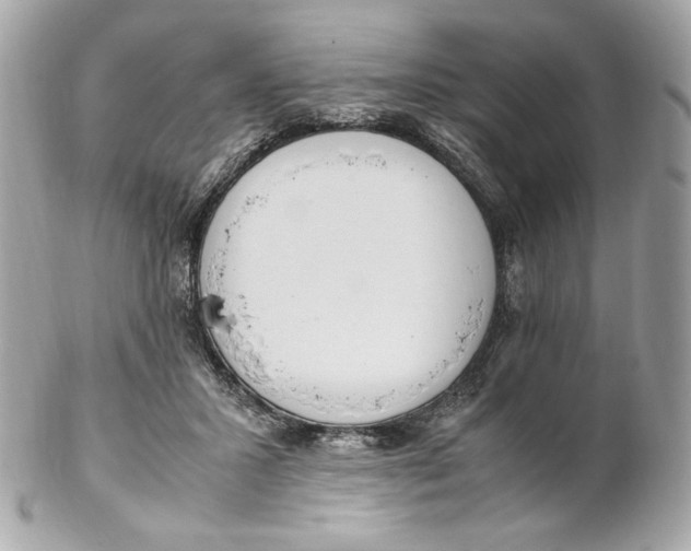 X0000102250407200808151822