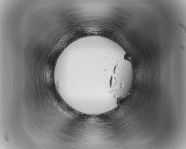 X0000102250408200808151822