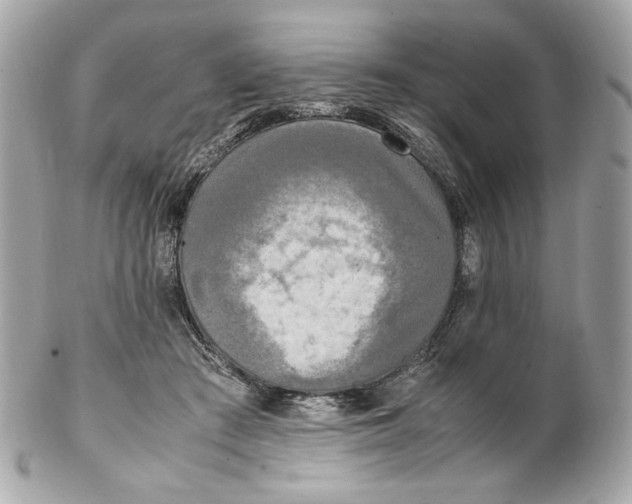 X0000102250409200808151822