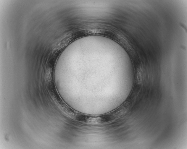 X0000102250410200808151822