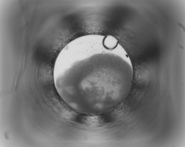 X0000102250411200808151822