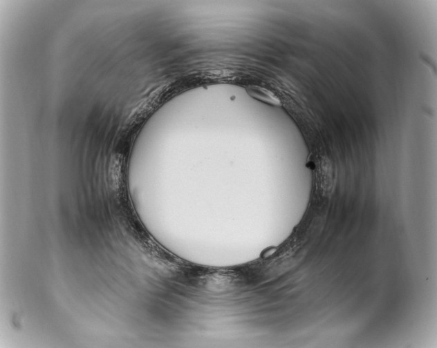 X0000102250412200808151821