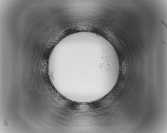 X0000102250413200808151821