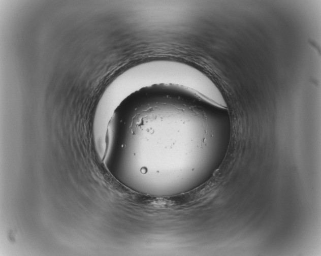 X0000102250415200808151821