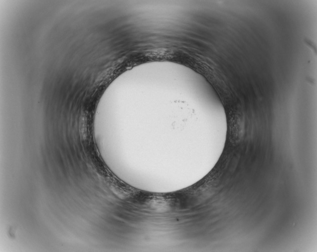 X0000102250416200808151821