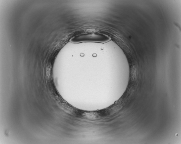 X0000102250417200808151821