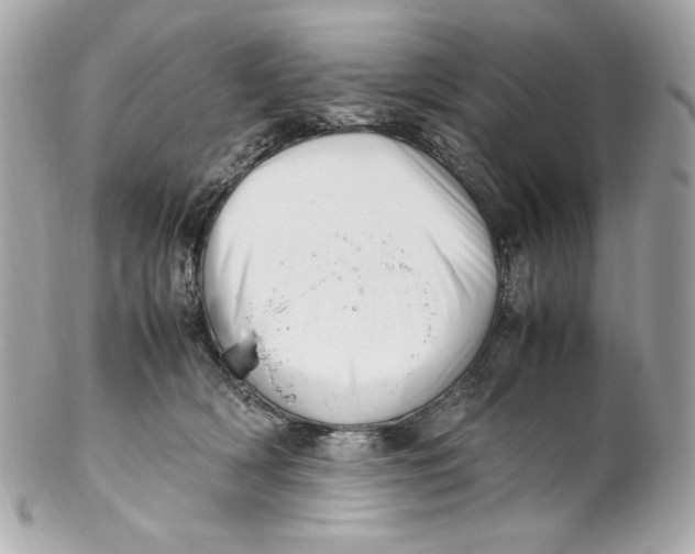 X0000102250418200808151821