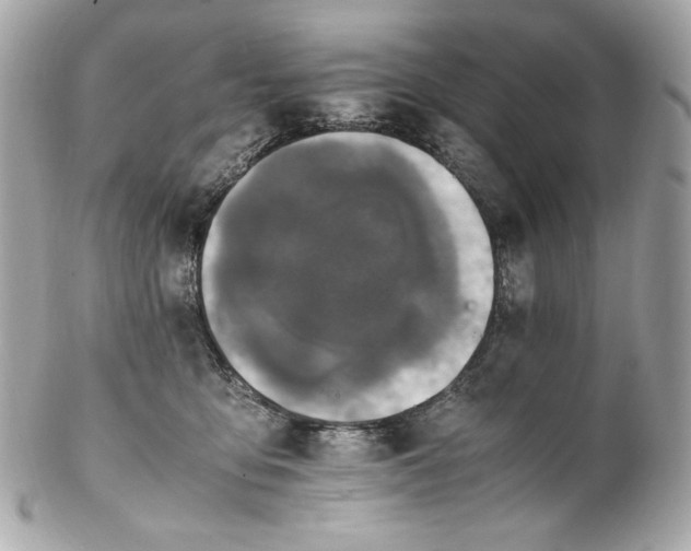 X0000102250419200808151821