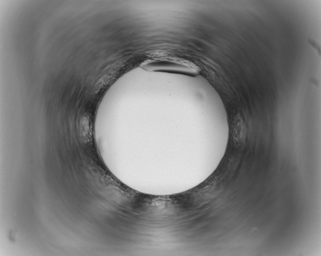 X0000102250420200808151821