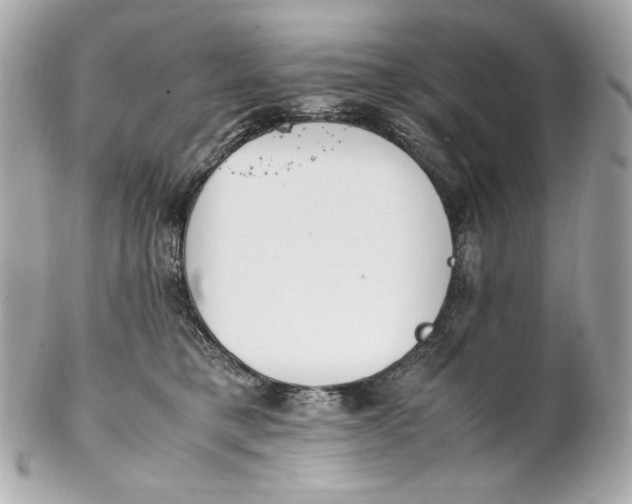 X0000102250421200808151821