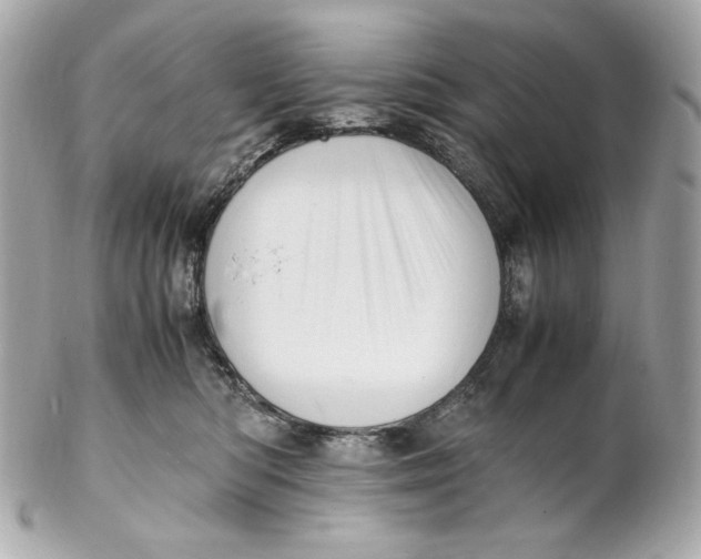 X0000102250422200808151821