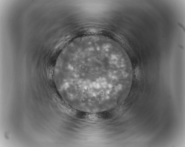 X0000102250423200808151821