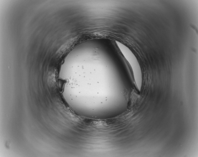 X0000102250424200808151821