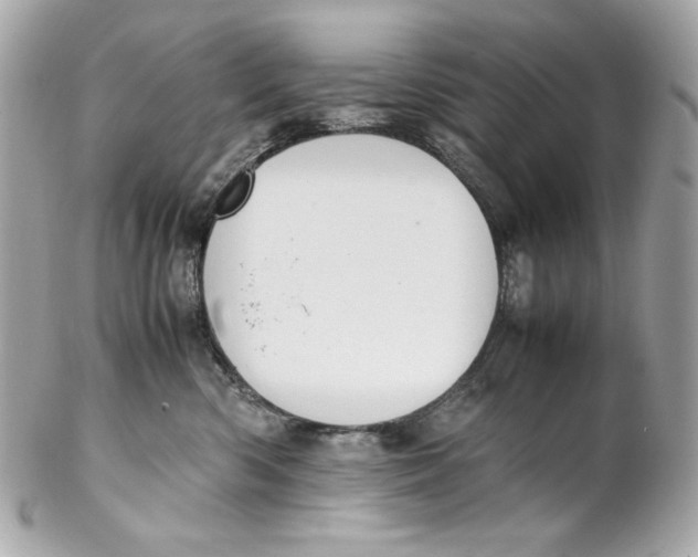 X0000102250426200808151821