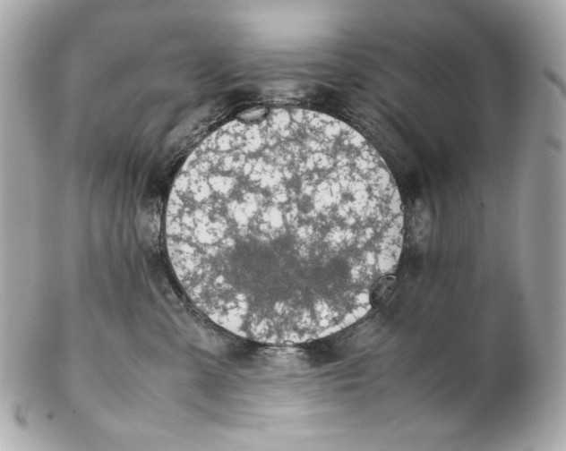 X0000102250427200808151821