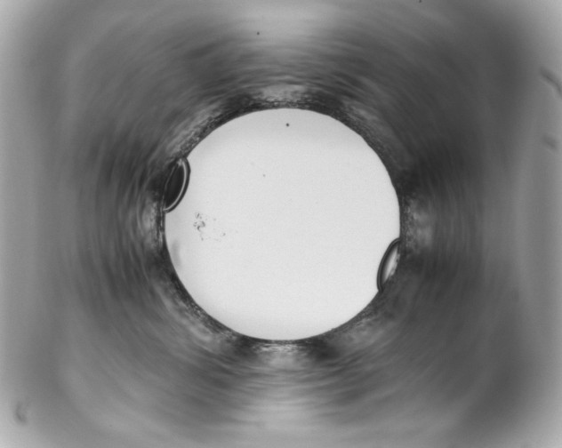 X0000102250428200808151821