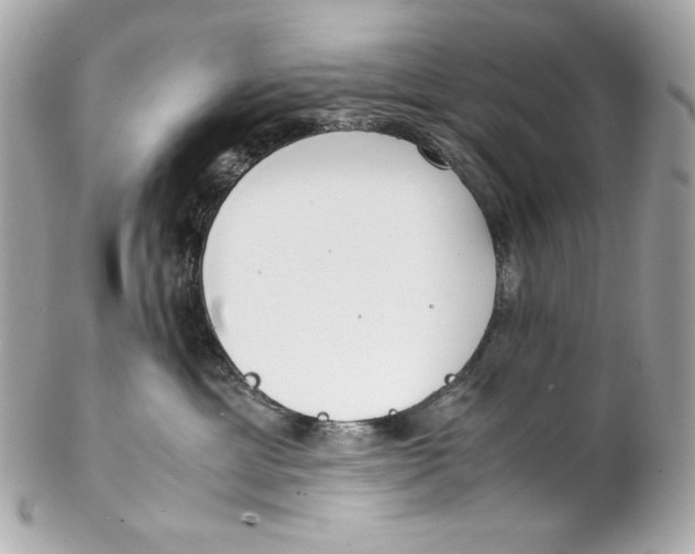 X0000102250429200808151821