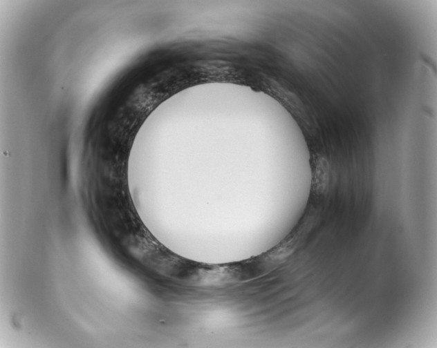 X0000102250430200808151821