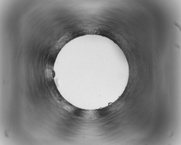 X0000102250432200808151821