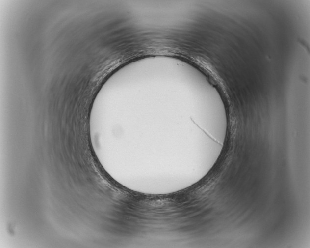 X0000102250433200808151821