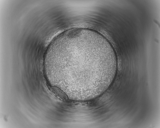 X0000102250434200808151821