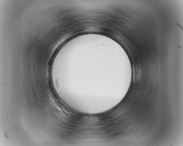 X0000102250435200808151821