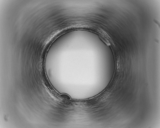 X0000102250436200808151821