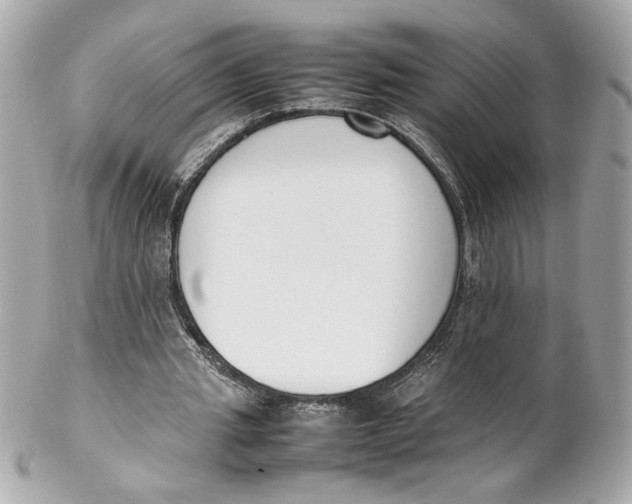 X0000102250437200808151821