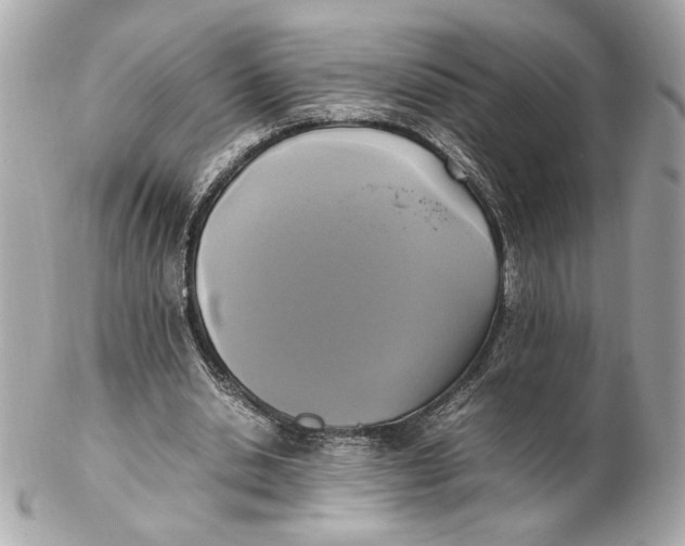 X0000102250438200808151821