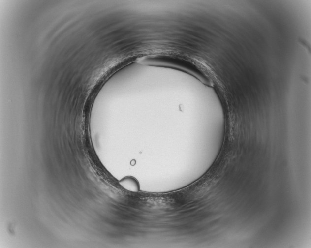 X0000102250439200808151821