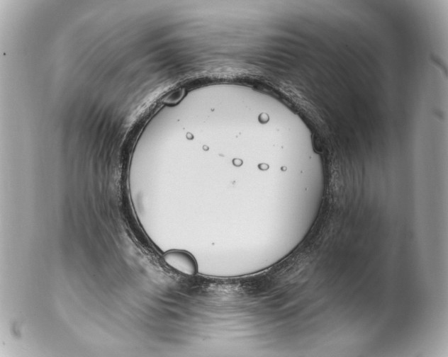 X0000102250440200808151821