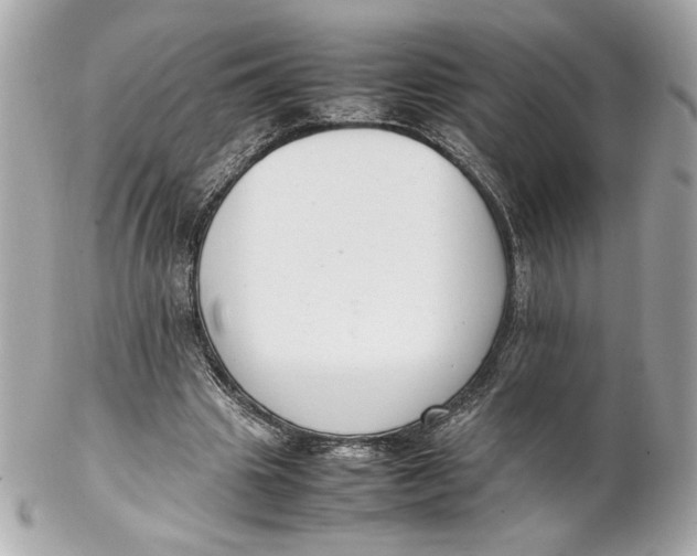 X0000102250441200808151821