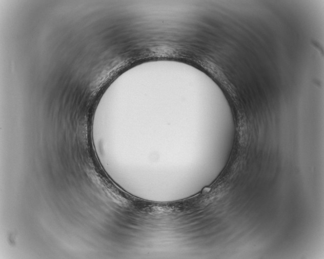 X0000102250442200808151821