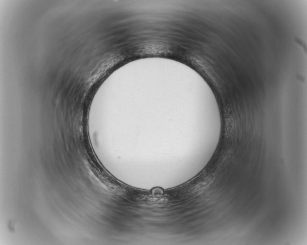 X0000102250443200808151821