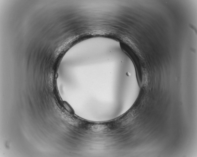 X0000102250444200808151821