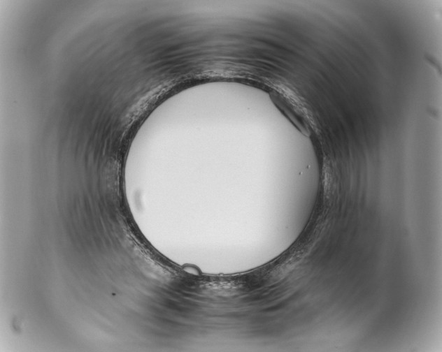 X0000102250445200808151821