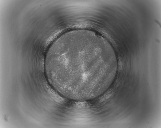 X0000102250446200808151821