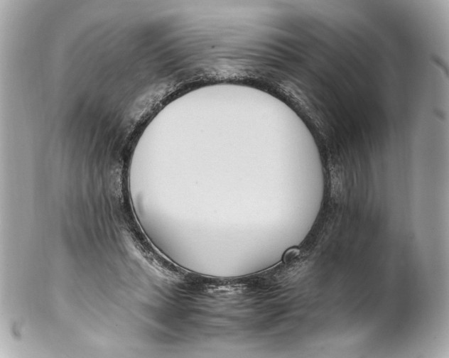 X0000102250447200808151821