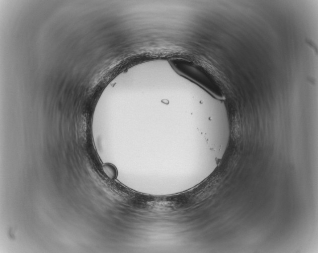 X0000102250448200808151821