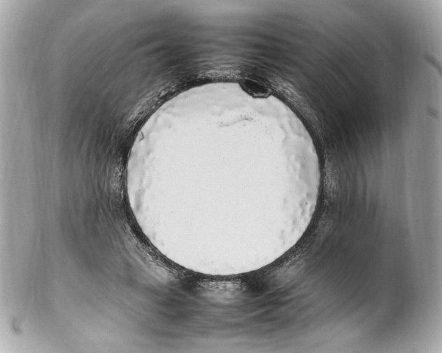 X0000102250449200808151821