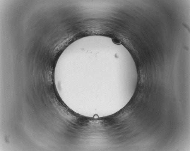 X0000102250450200808151821