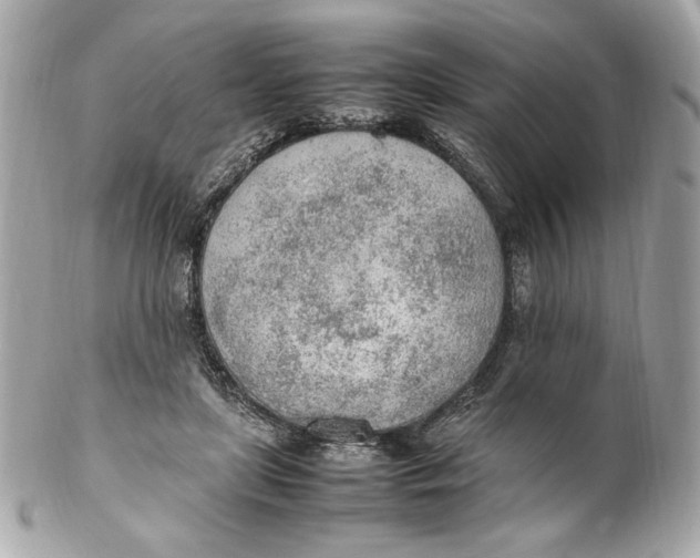 X0000102250451200808151821