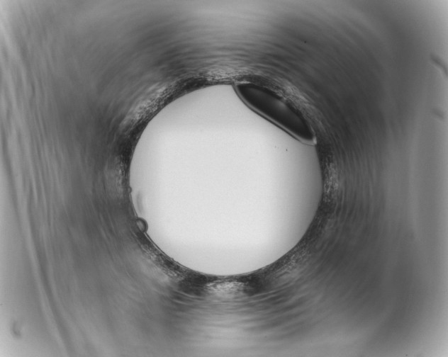 X0000102250452200808151821