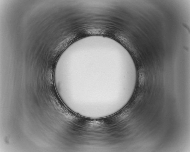 X0000102250453200808151821