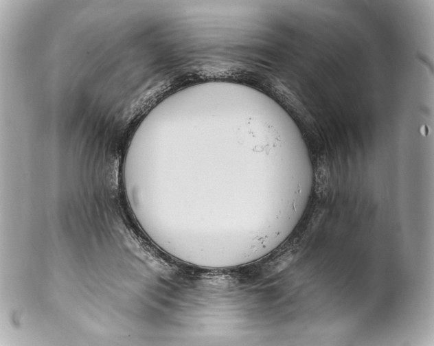 X0000102250454200808151821