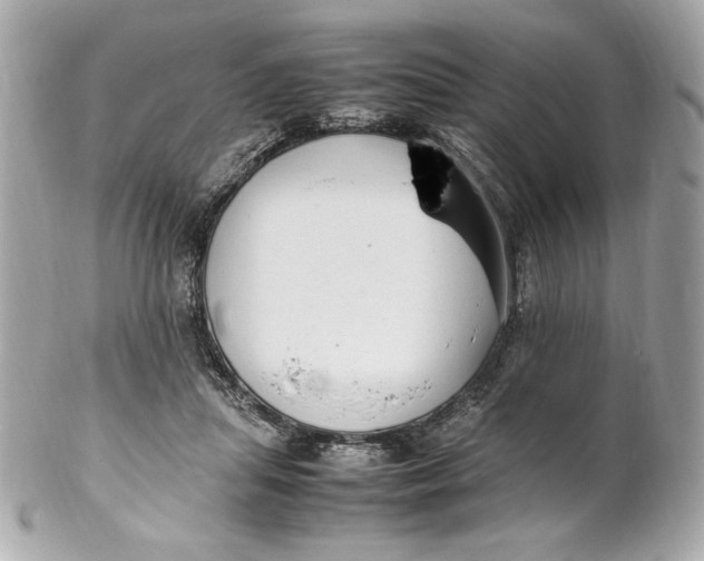 X0000102250455200808151821