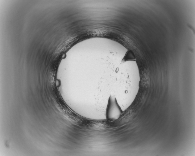 X0000102250456200808151821